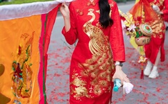 小草青青免费观看完整版